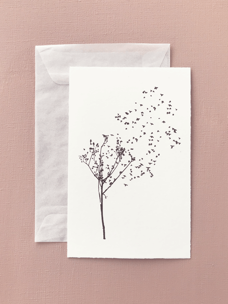 Thumbnail: zwermbloem - postcard