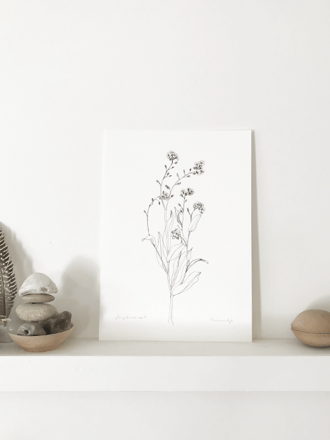 Thumbnail: artprint A4 - forget me not