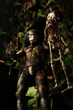 Halloween Guys - Trophy Hunt