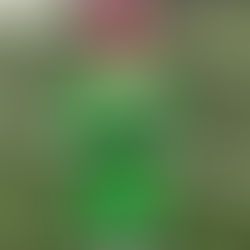 Making Saturday Morning Astro Waves!