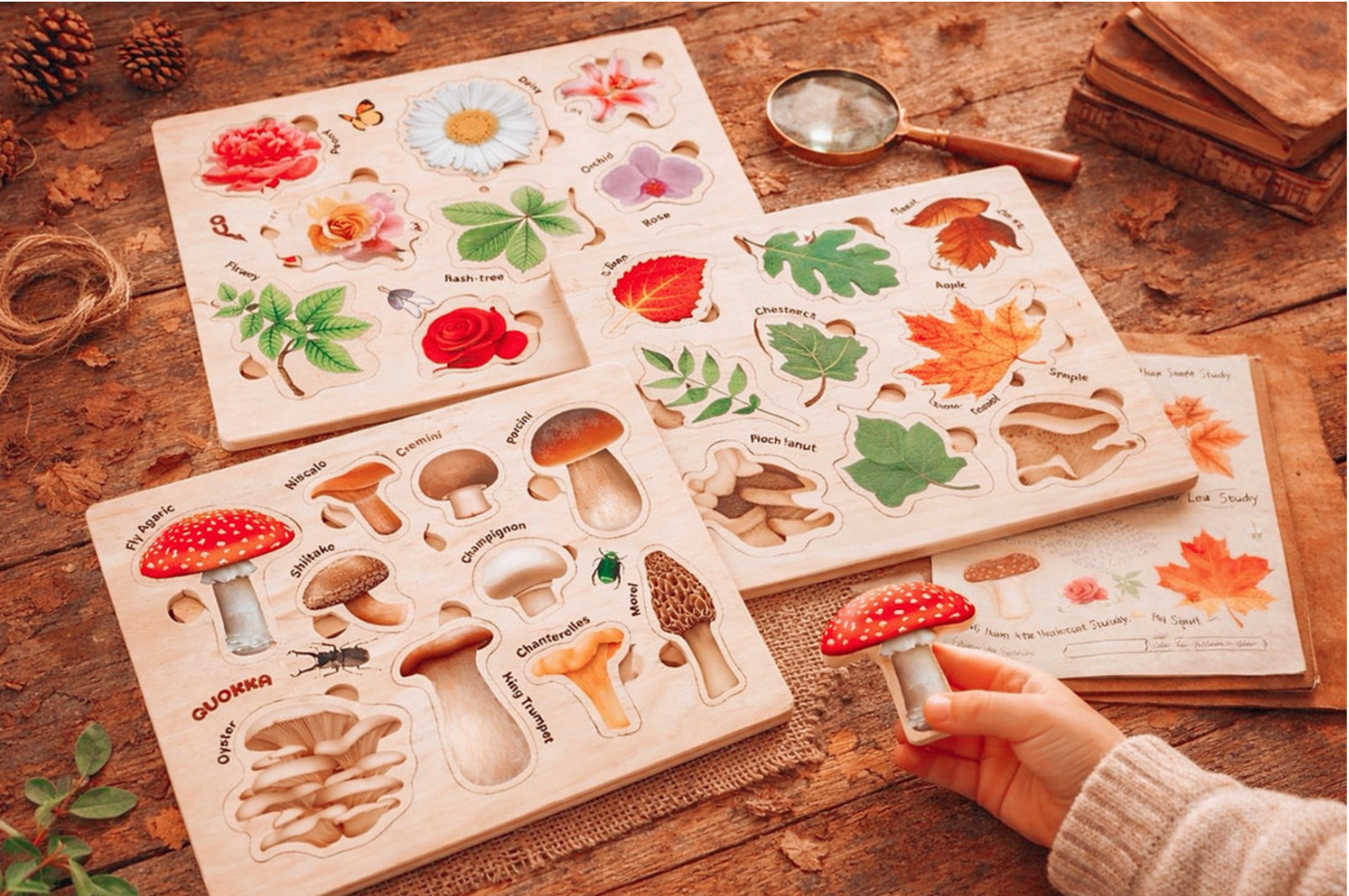 Tiny Thinkers Wooden Puzzle