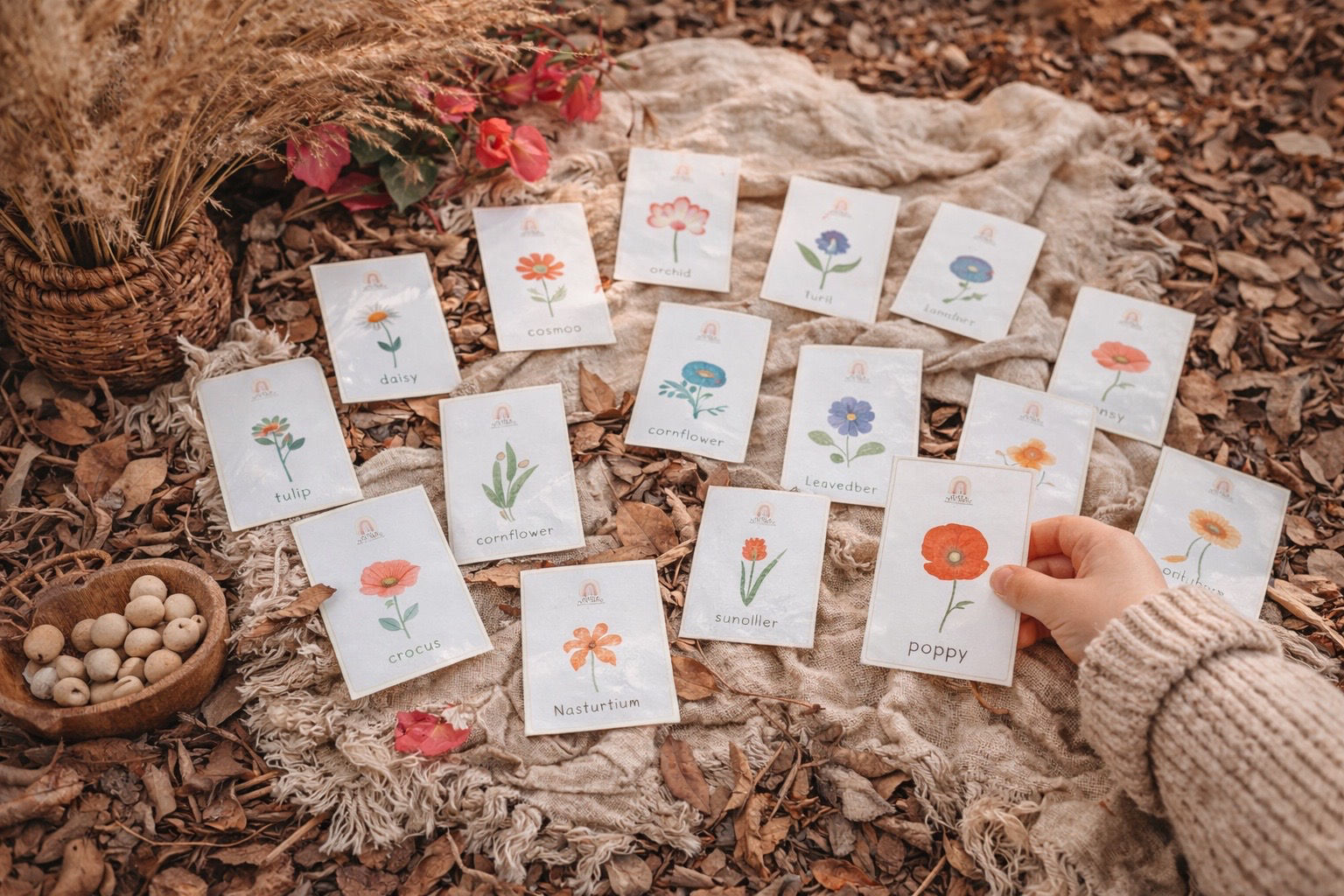 Flower Discovery Cards