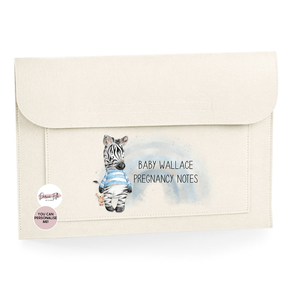 Blue Zebra Theme Pregnancy & Maternity Notes Felt Folder