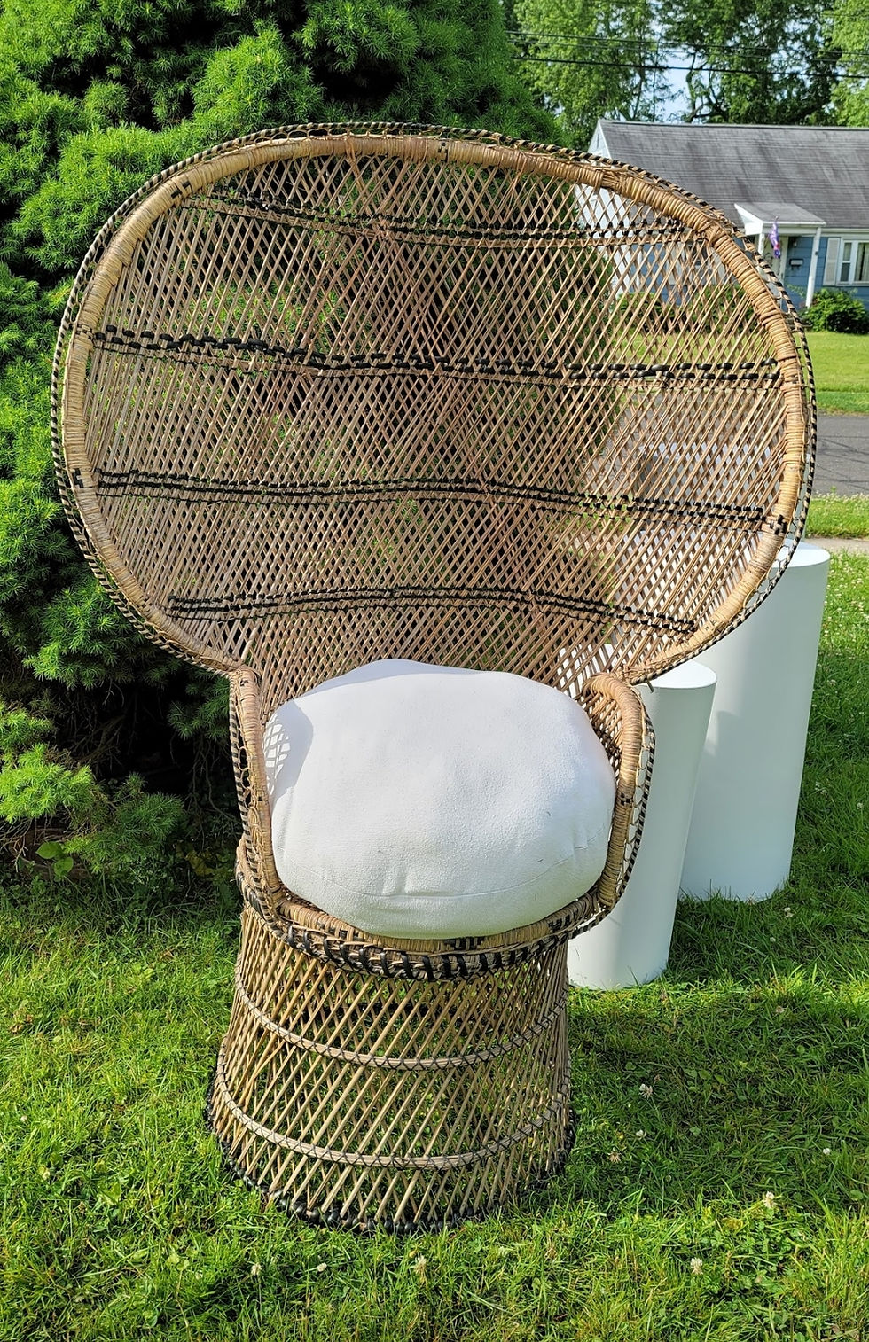 Thumbnail: Brown Peacock Wicker