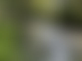 "Come away by yourselves to a deserted place and rest a while."