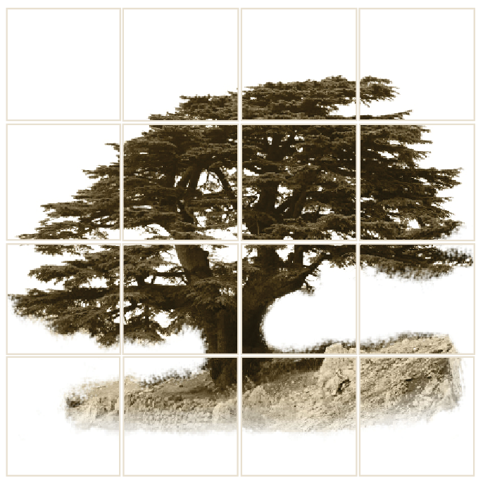 lebanese cedar tiles