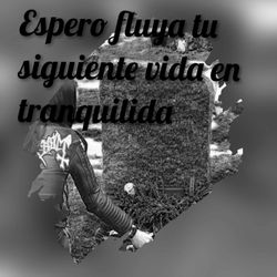 InFrame_1552848246249