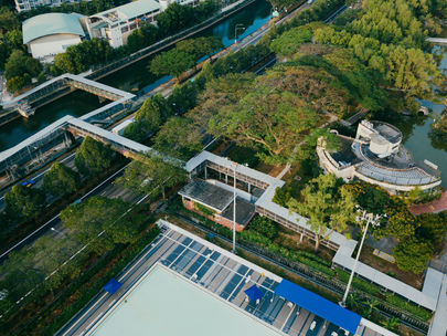 ¿Qué son los ecosistemas urbanos y por qué importan?
