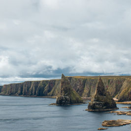 Landscapes