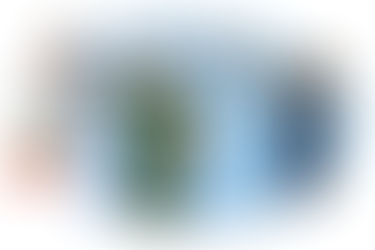 ¿Por qué es importante pensar en la profesión desde Primaria? Opinión de expertos y la experiencia de Escuela en línea N1