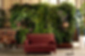 Diseñando un jardín vertical en casa