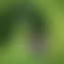 ¿Qué son los biomas y cómo se clasifican?