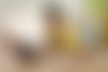 Premios, resultados y amor por enseñar: por qué somos la mejor escuela online