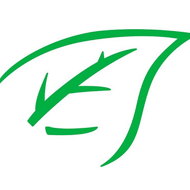 Mint Sportswear Ltd