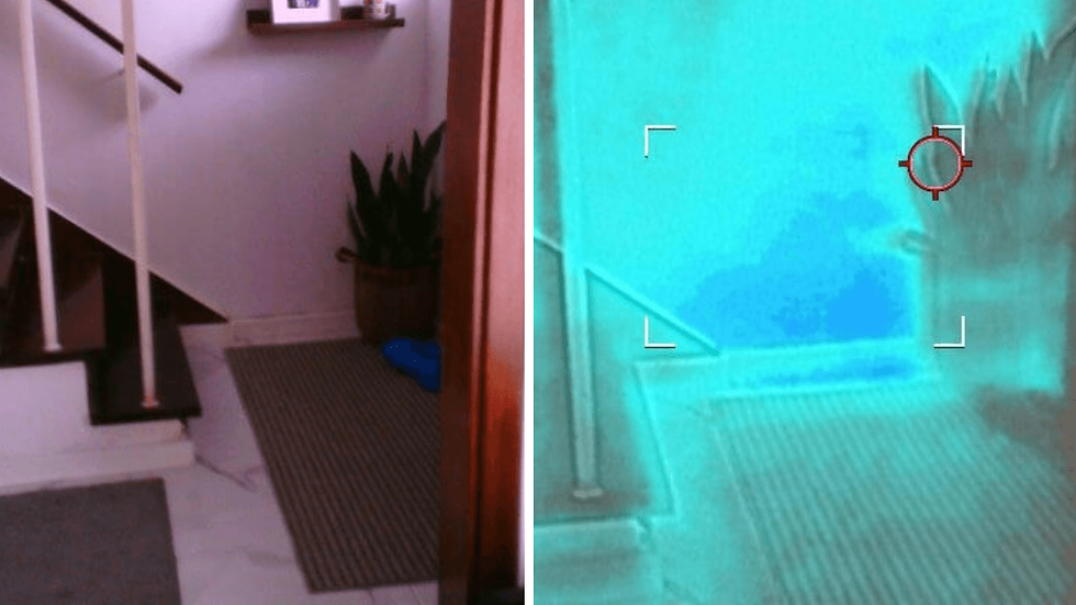 Thermal imaging identifying hidden damp during a property inspection in Portugal.