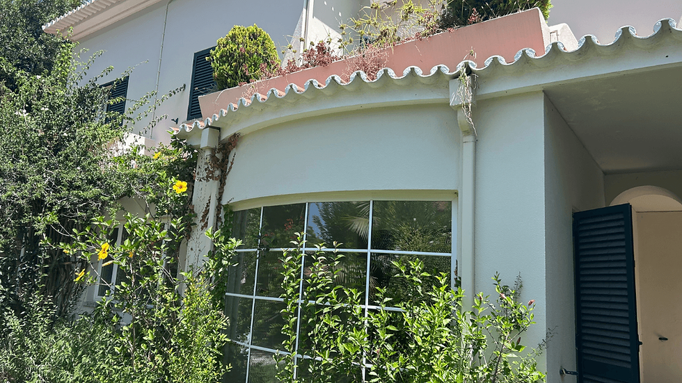 Well-maintained Portuguese home exterior illustrating a property that appears attractive before a professional property inspection.