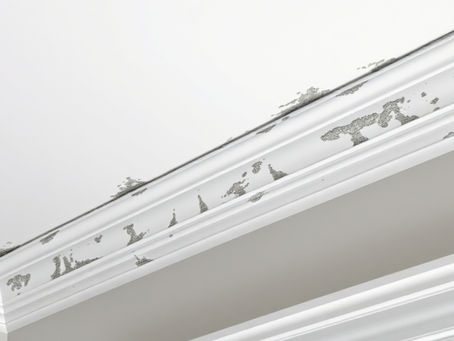 Roof Leaks and Damp Problems in Portugal