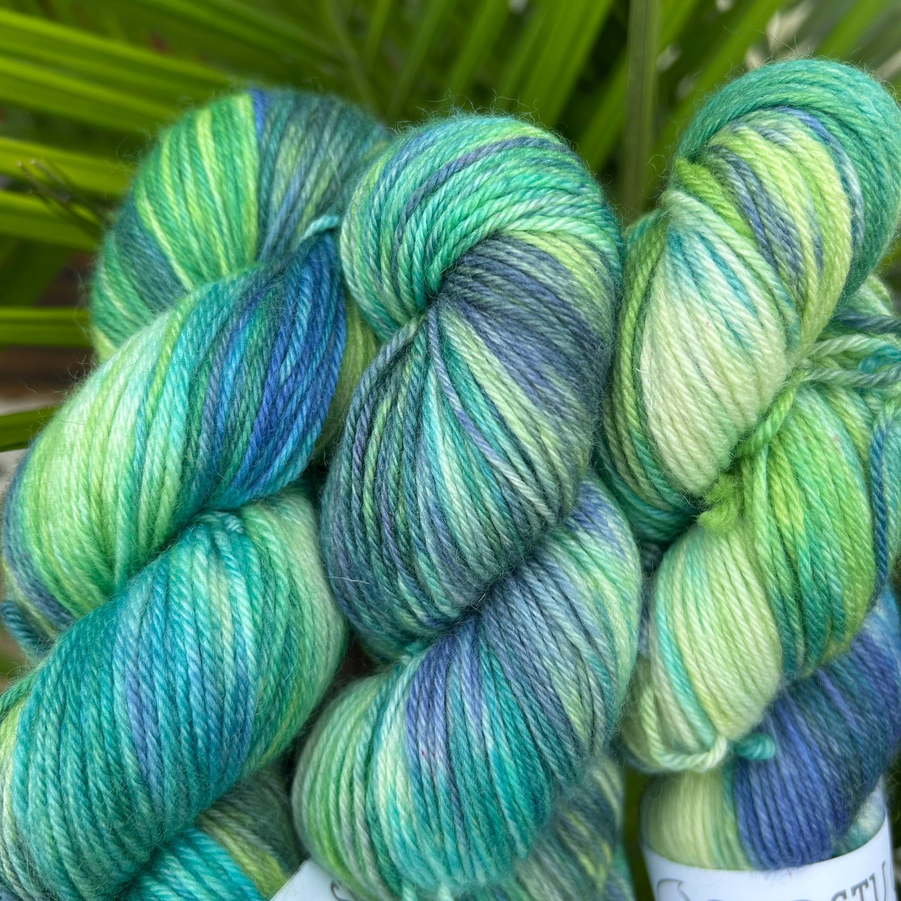 Shirsty Cat Color Club BFL Sport “Augustus”