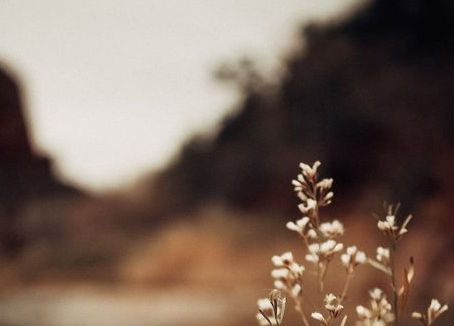 Finding Joy In Purification Process Friday, July 8, 2022 8:19 AM