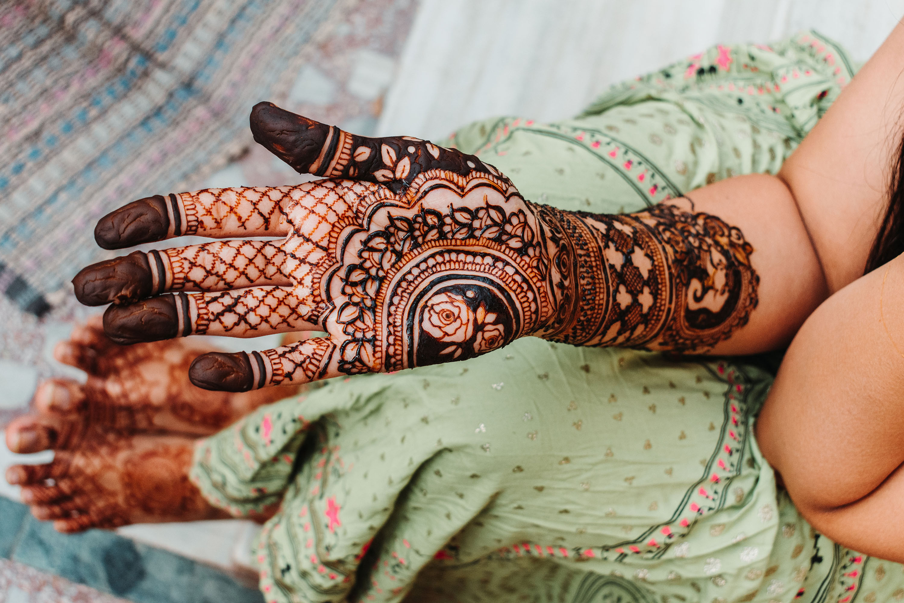 Henna Tree,  Hina, Mehandi, dye tree (Lawsonia Inermis)