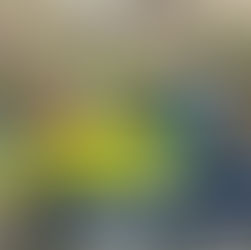 Scout Permit Scheme - an updated guide to a new system