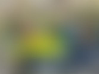 Scout Permit Scheme - an updated guide to a new system