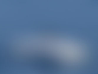 まどわされるな