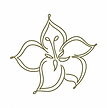 Lily Body Organics Logo.png