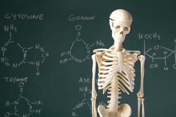 What Your Doctor Can Teach You About Business Growth