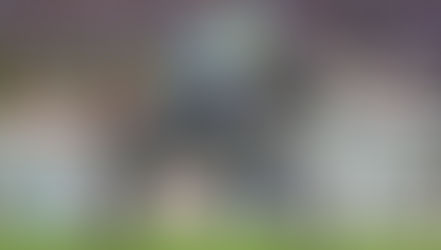 Как на знаменитом скакуне теперь зарабатывают деньги