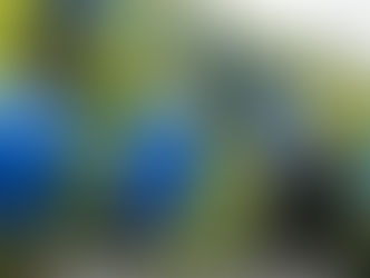 Почему шымкентский футбольный клуб «Ордабасы» нацелился на золотой дубль