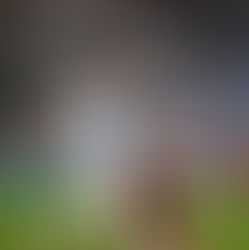 Как казахстанский футболист из турецкого клуба деньги выбивал