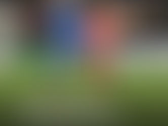 Как отреагировали в Северной Македонии на сенсационную ничью со сборной Казахстана