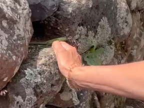 Voelen als eerste taal