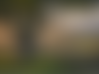 The language of trees, water, and earth