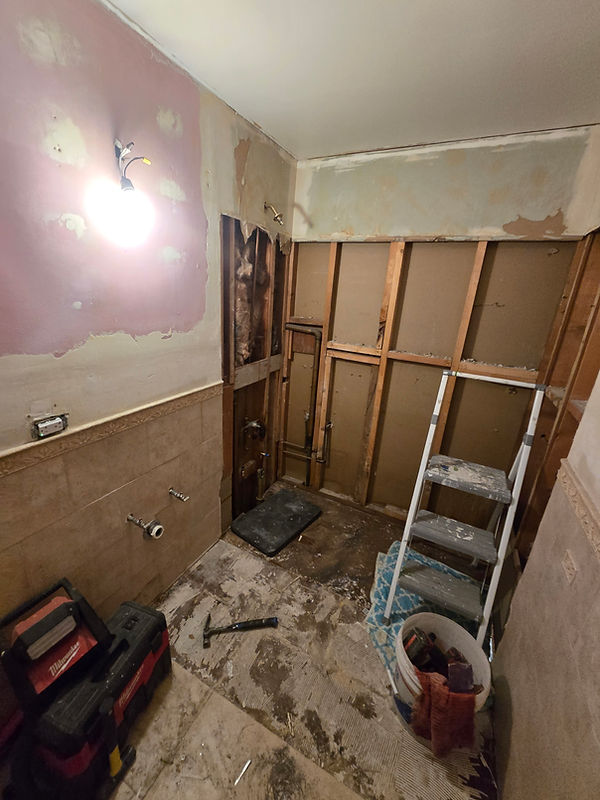 Corrine Bathroom Demo.jpg