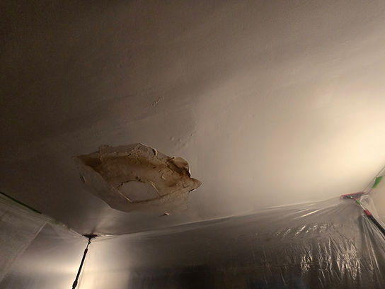Corrine Damage Family Room Ceiling.jpg