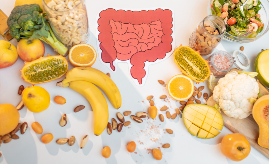 image of digestive system surrounded by fruit, vegetables and nuts