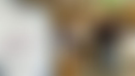 ASTRAIOS at the 11th International Systems & Concurrent Engineering for Space Applications Conference 