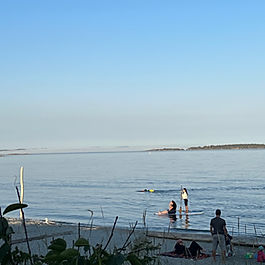 Willows Beach - Oak Bay