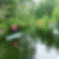Reconnect with Nature: Why Paddle Sports Are More Than Just a Summer Activity