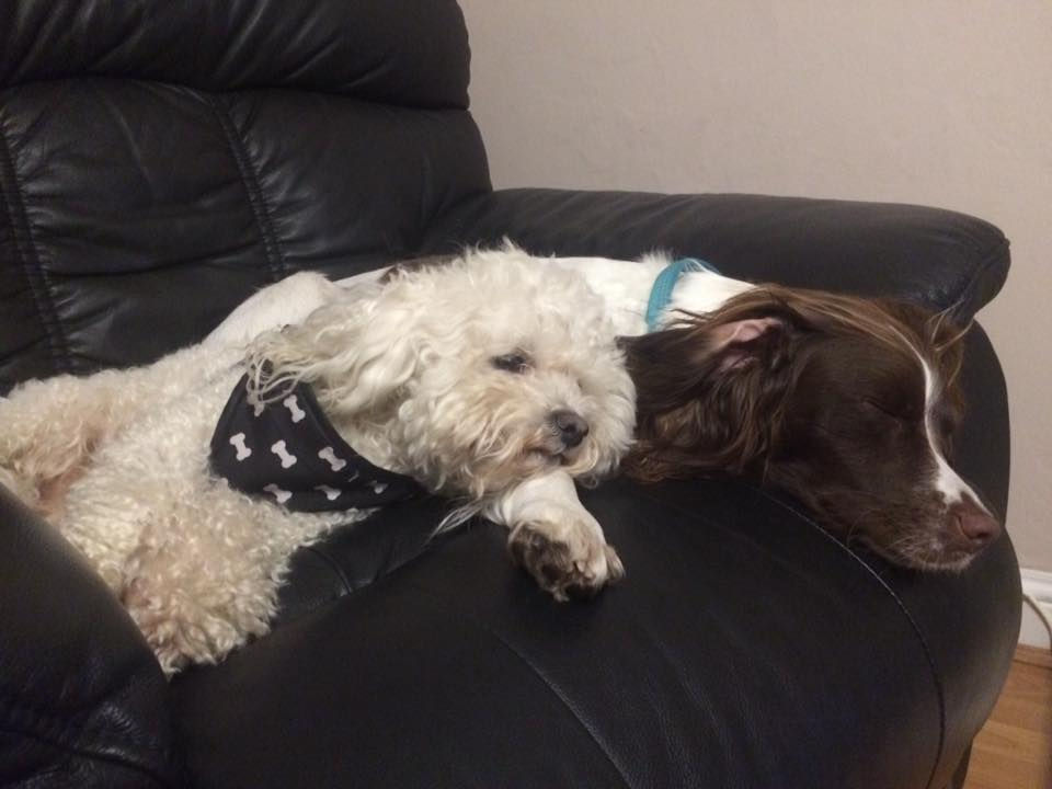 Summer and Teasy