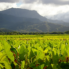 teacher workshop (13).png