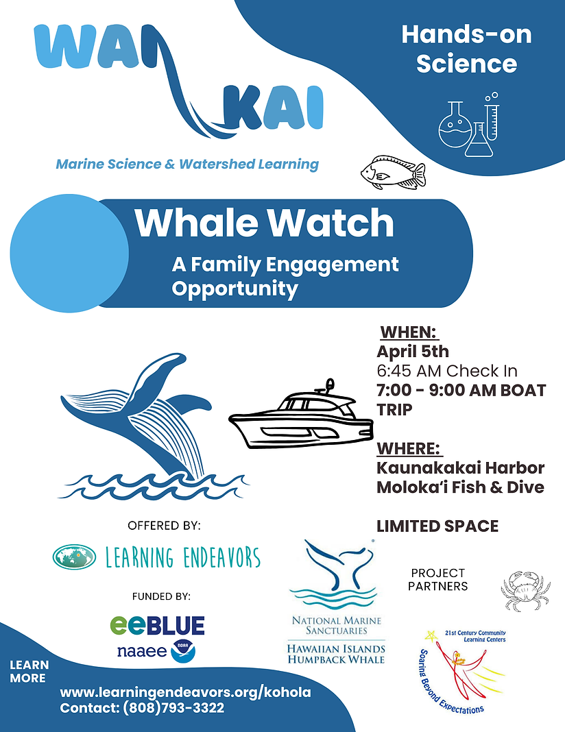 Wai to Kai Whale Watch.png