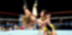 scott steiner summerslam 1993 the steiners