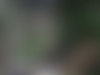 大地の氣の浄化!とルラドチューニング!