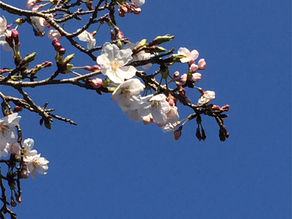 今日はちょっとめいっぱいでした。