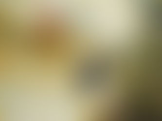 難しいことはいらないの。