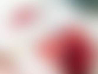 まだ、途中でも。