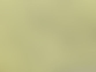 スピ、ぽくない。からのうさぎさん。